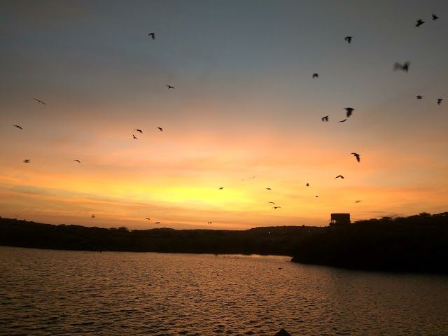 Balsamand Lake-2